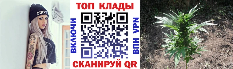 Купить закладку Амфетамин  Бошки Шишки  A-PVP  МЕФ  Codein  Гашиш  Россошь