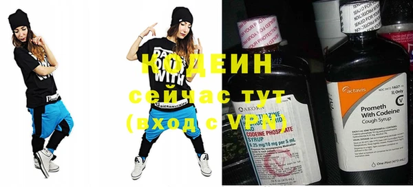 шишки Гусь-Хрустальный