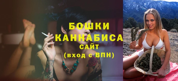 шишки Гусь-Хрустальный