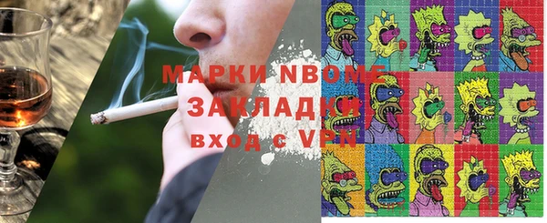 шишки Гусь-Хрустальный