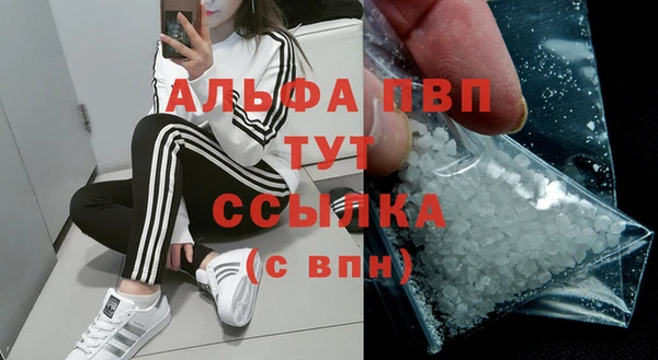 шишки Гусь-Хрустальный