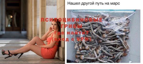 метамфетамин Гусев