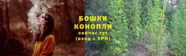 ALPHA PVP Гусиноозёрск
