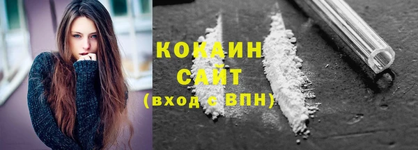 шишки Гусь-Хрустальный